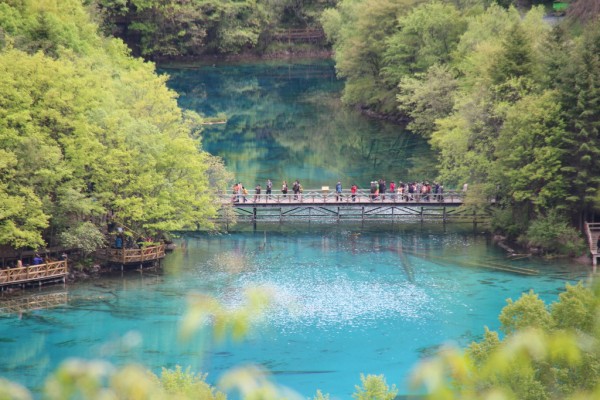 242a8d9e47652603bfc176aad755859f_1470386