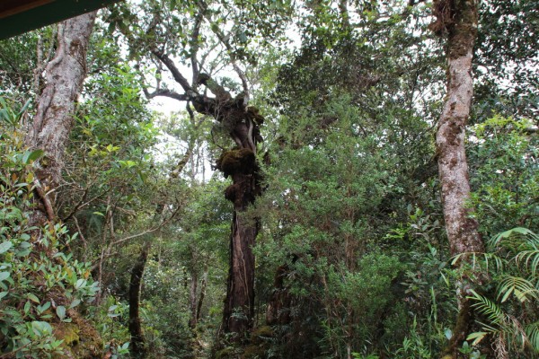 242a8d9e47652603bfc176aad755859f_1470386