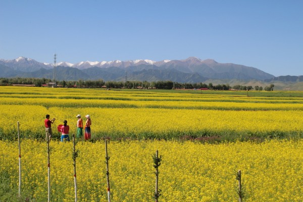 256c987ce9392f1ed8103ef9a3e90a15_1470633